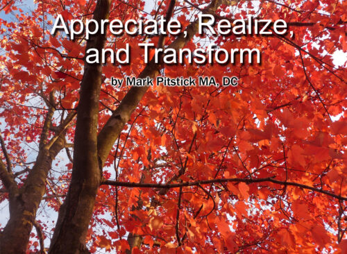Appreciate, Realize, and Transform Session