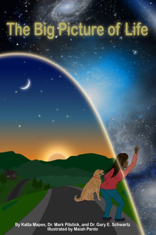 the big picture of life