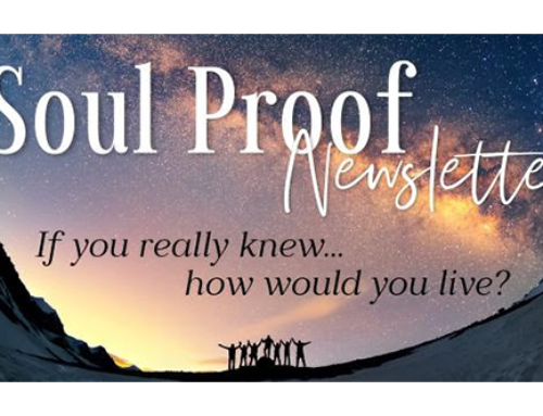 December 2025 Soul Proof News